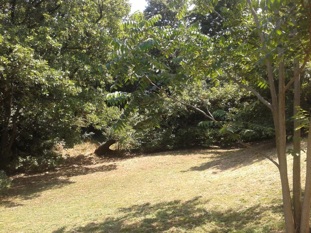 Vila Entre Nimes Et Arles Bellegarde  Exteriér fotografie